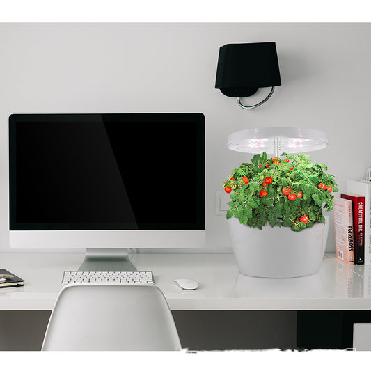 Hydroponic Plant Growth Machine with Smart LED Light